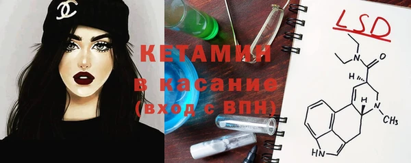 ешки Аркадак