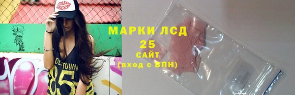 ешки Аркадак