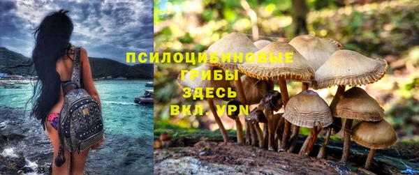 ешки Аркадак