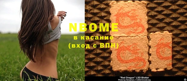 ешки Аркадак
