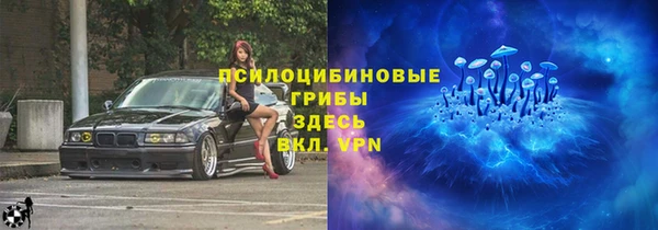 ешки Аркадак
